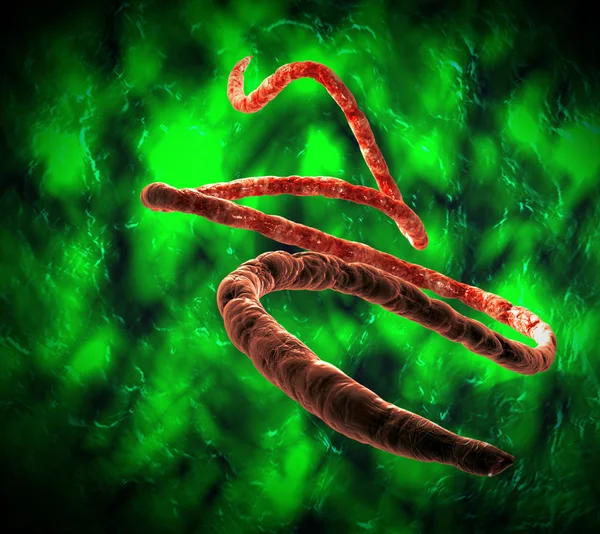 Virus dell'ebola — Foto Stock