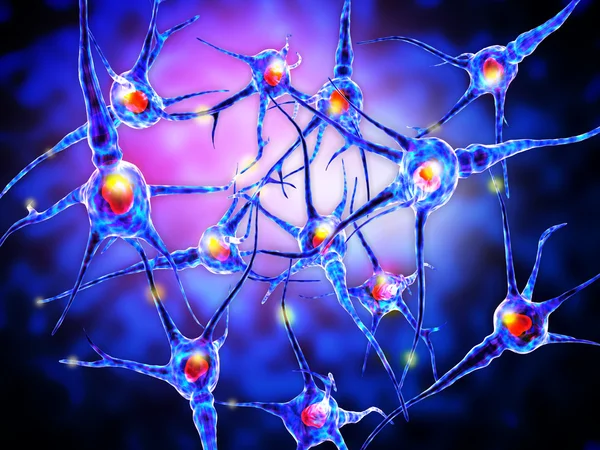 神経細胞写真素材、ロイヤリティフリー神経細胞画像|Depositphotos®