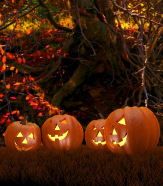 kabaklar ormandaki ile Halloween arka plan manzara