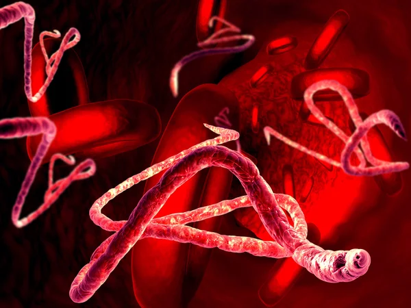 Virus dell'ebola — Foto Stock