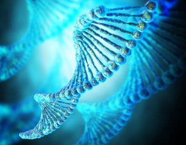 Yüksek çözünürlüklü insan DNA dizgisinin 3D görüntüleyicisi