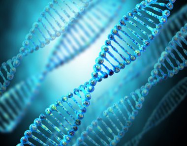 Yüksek çözünürlüklü insan DNA dizgisinin 3D görüntüleyicisi