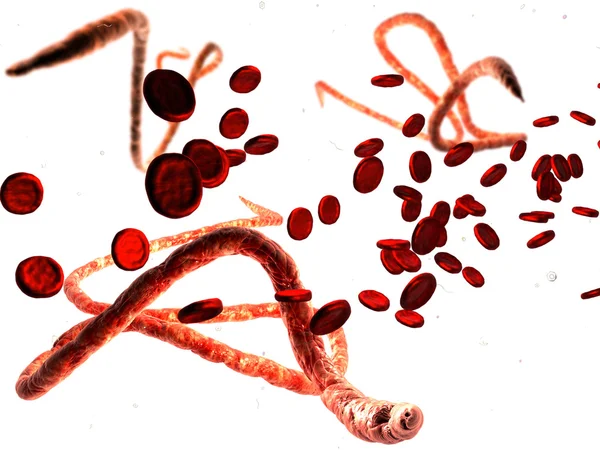 Cyfrowy ilustracja wirusa ebola, mikroskopowe. — Zdjęcie stockowe