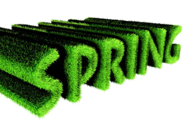 Весенний текст из травы, 3D рендеринг — стоковое фото