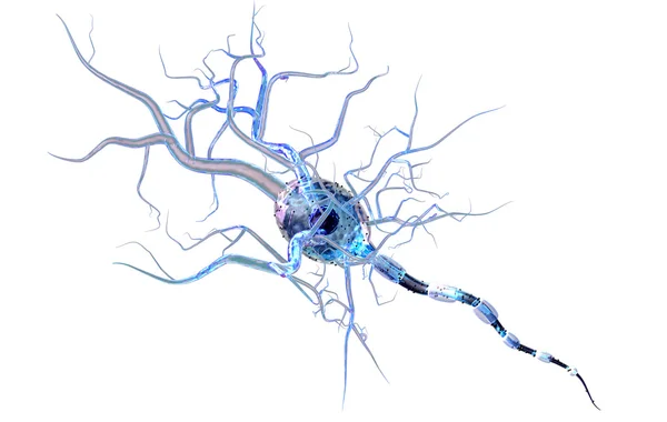 Vysoce kvalitní 3d vykreslení nervové buňky izolované na bílém pozadí — Stock fotografie