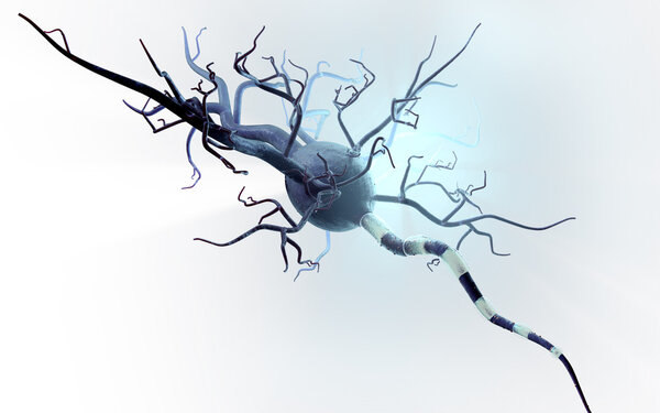 High quality 3d render of nerve cell isolated on white background