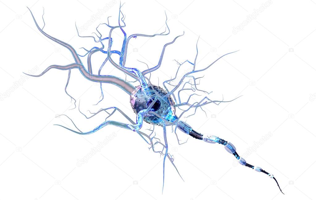 High quality 3d render of nerve cell isolated on white background