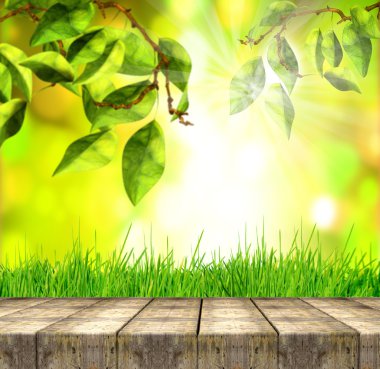 Taze bahar yeşil ot ve yaprak yeşil bokeh, güneş ışığı ve ahşap zemin ile.