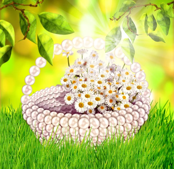 Fresh spring green grass and leaves with flower basket in sunlight — Stock Photo, Image