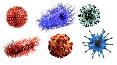 medical illustration of viruses and bacteria