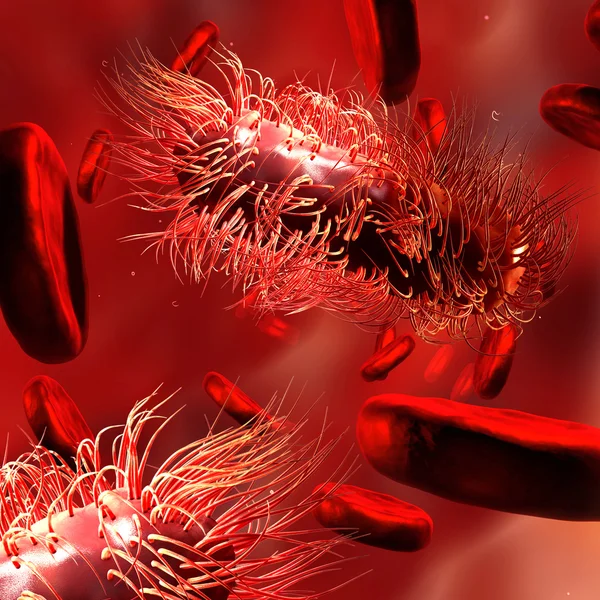 Ilustração 3d de vírus, células bacterianas infectando o corpo humano . — Fotografia de Stock