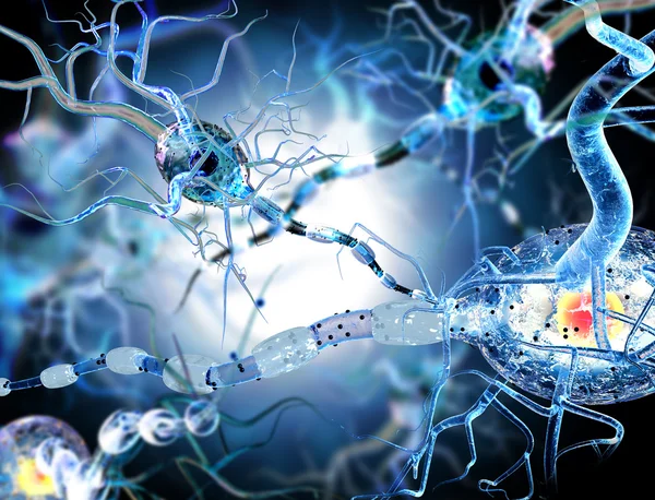 Nerve cells, concept for Neurological Diseases, tumors and brain surgery. Stock Photo