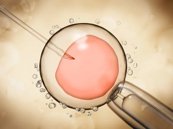 Artificial insemination illustration — Stock Photo, Image