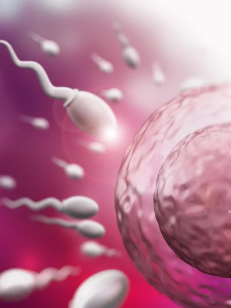 Illustrazione che mostra spermatozoi e ovuli — Foto Stock