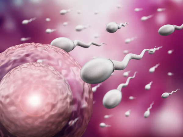 Иллюстрация, показывающая сперму и яйцеклетку — стоковое фото