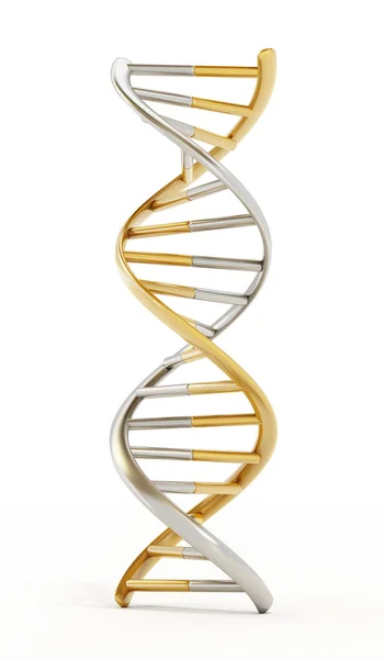 Gold and silver colored dna helix. 3D illustration — Stock Photo, Image