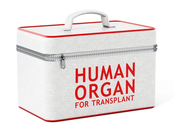 Órgano humano para caja de trasplante. Ilustración 3D — Foto de Stock