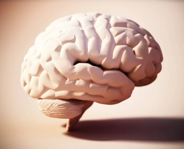 Cerebro Humano Pie Sobre Fondo Color Suave Ilustración — Foto de Stock
