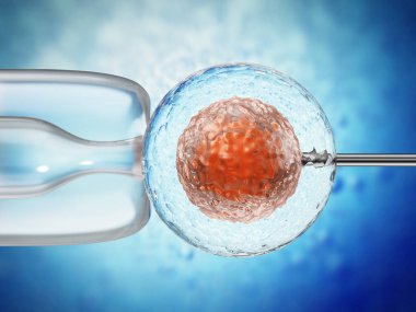 Yapay döllenme sürecinin üç boyutlu çizimi yumurtalığın içine sperm enjekte edildiğini gösteriyor. 3B illüstrasyon.