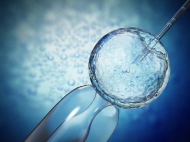 Yapay döllenme sürecinin üç boyutlu çizimi yumurtalığın içine sperm enjekte edildiğini gösteriyor. 3B illüstrasyon.