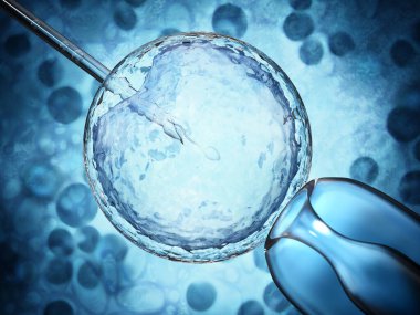 Yapay döllenme sürecinin üç boyutlu çizimi yumurtalığın içine sperm enjekte edildiğini gösteriyor. 3B illüstrasyon.