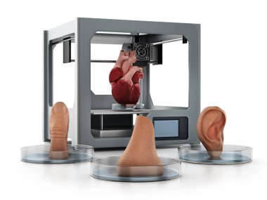 Tıbbi 3D yazıcı ve beyaz arka planda izole edilmiş insan organları. 3B illüstrasyon.