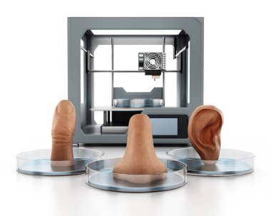 Tıbbi 3D yazıcı ve beyaz arka planda izole edilmiş insan organları. 3B illüstrasyon.
