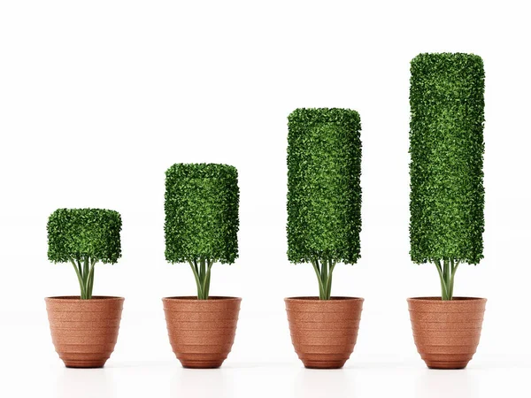 Stijgende Potten Met Groene Struiken Als Een Grafiek Illustratie — Stockfoto