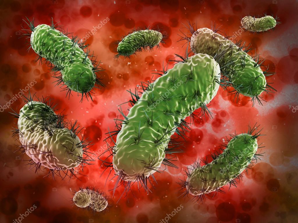 Microscopic Bacteria