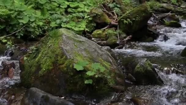 Waterval Shipot 6 — Stockvideo