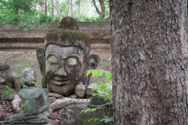Buda heykeli wat umong, chiang mai, Tayland seyahat etmek tapınak