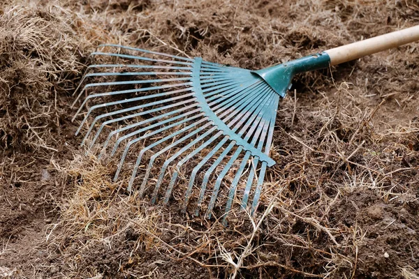 Udvari munka, előkészítése a talaj kert rake a shoveling száraz gr — Stock Fotó