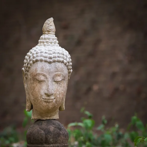 在梧、 清迈、 旅游泰国寺佛像 — 图库照片