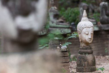 Buda heykeli wat umong, chiang mai, Tayland seyahat etmek tapınak