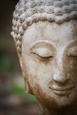 Buda heykeli wat umong, chiang mai, Tayland seyahat etmek tapınak