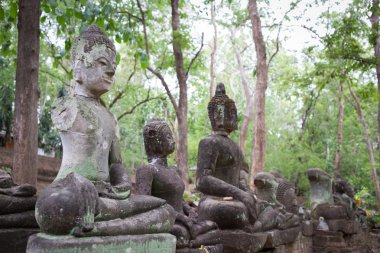 Buda heykeli wat umong, chiang mai, Tayland seyahat etmek tapınak
