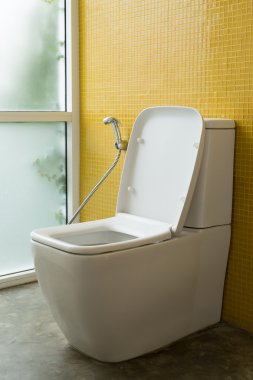 tuvalet iç modern ev