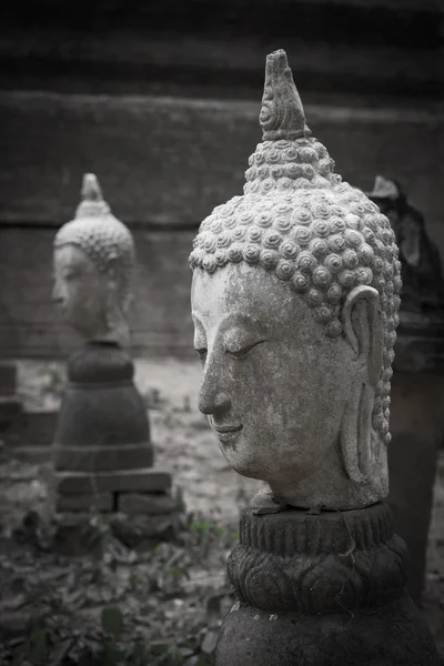 Estátua de buddha em wat umong, chiang mai, viajar templo tailandês — Fotografia de Stock