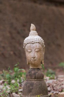 Buda heykeli wat umong, chiang mai, Tayland seyahat etmek tapınak