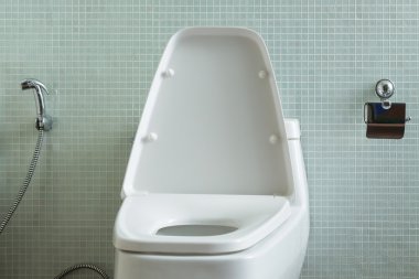 tuvalet iç modern ev