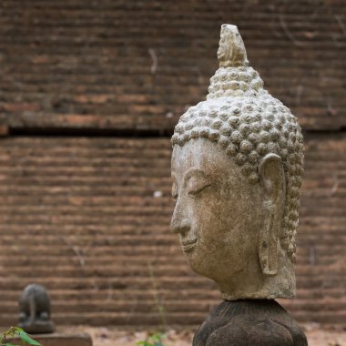 Buda heykeli wat umong, chiang mai, Tayland seyahat etmek tapınak