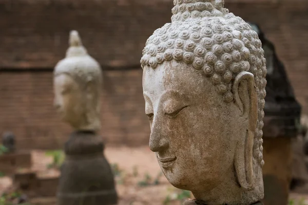 Estátua de buddha em wat umong, chiang mai, viajar templo tailandês — Fotografia de Stock