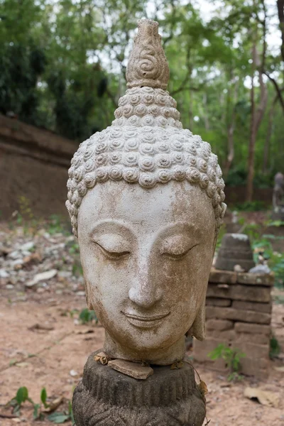 Buda heykeli wat umong, chiang mai, Tayland seyahat etmek tapınak