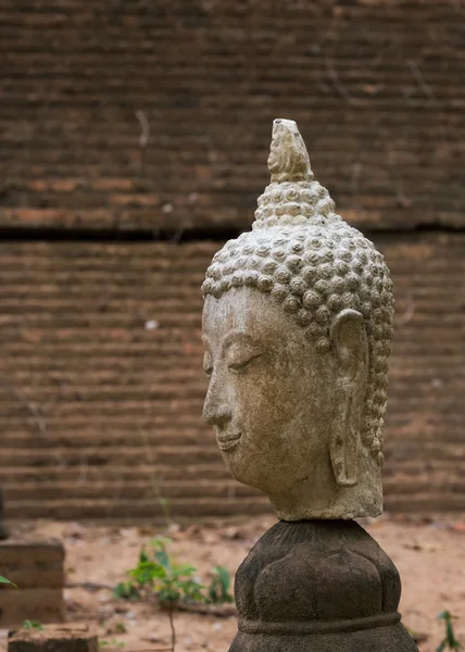 Statue de bouddha en wat umong, chiang mai, voyage temple thaï — Photo