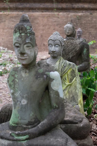 Statue de bouddha en wat umong, chiang mai, voyage temple thaï — Photo