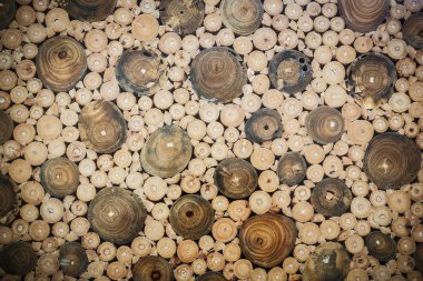 ahşap günlükleri depolama sanayî için