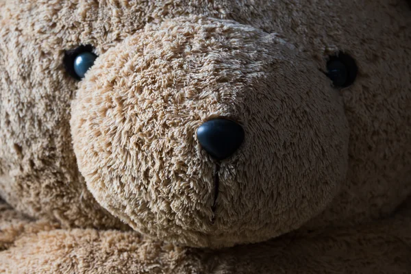 Big doll bear — Stock Photo, Image