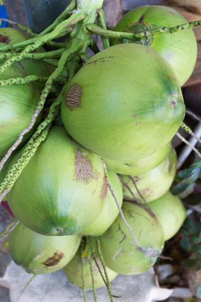 Frutta tropicale di cocco — Foto Stock