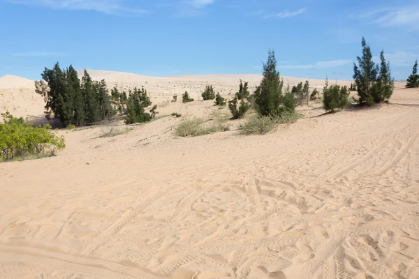 White sand dune desert in Mui Ne, Vietnam — Stock Photo, Image