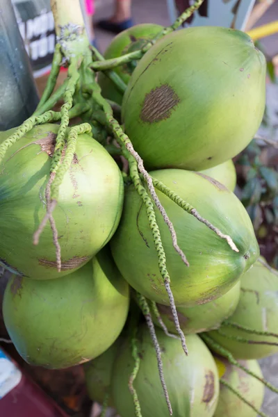 Frutta tropicale di cocco — Foto Stock